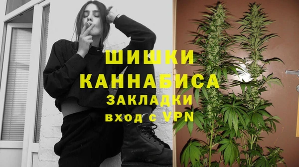 мдпв Новодвинск