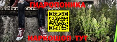 молекула духа Донецк