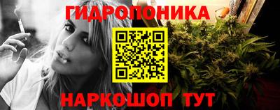 молекула духа Донецк