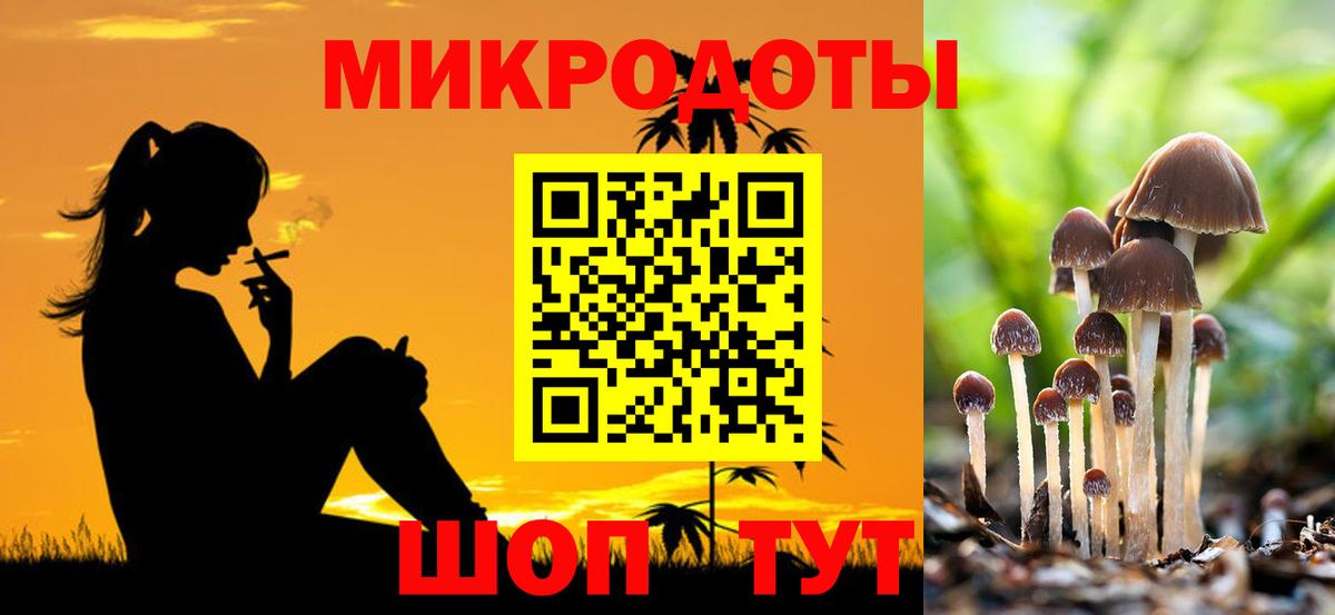 Псилоцибиновые грибы мухоморы  дарнет шоп  Галлюциногенные грибы мухоморы  Красный Сулин  Вход с VPN 